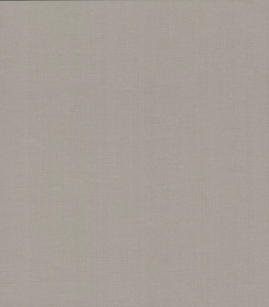 Silver/Gray Gossamer Woven Wallpaper