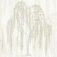 Neutrals Willow Glow Wallpaper