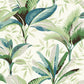 Blue/Green Summerhouse Peacock Wallpaper
