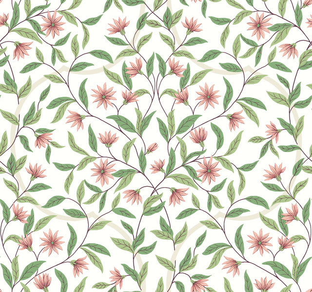 Pink Jasmine Coral Wallpaper