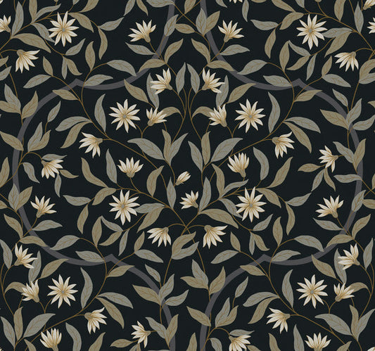Black Jasmine Midnight Wallpaper