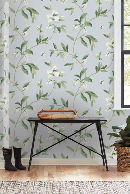 Blue/Green Springtime Sky/Eucalyptus Wallpaper