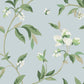 Blue/Green Springtime Sky/Eucalyptus Wallpaper