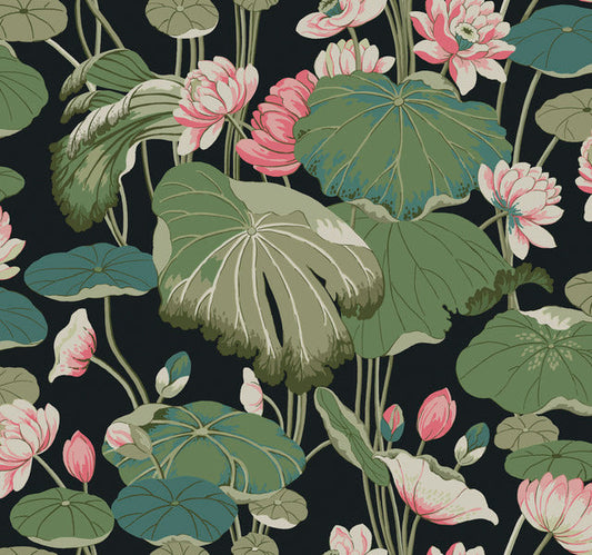 Black/Pink Lotus Pond Midnight/Flamingo Wallpaper