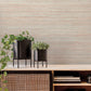 Red Fountain Grass Clay Wallpaper