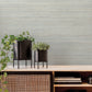 Blue Fountain Grass Smokey Blue Wallpaper