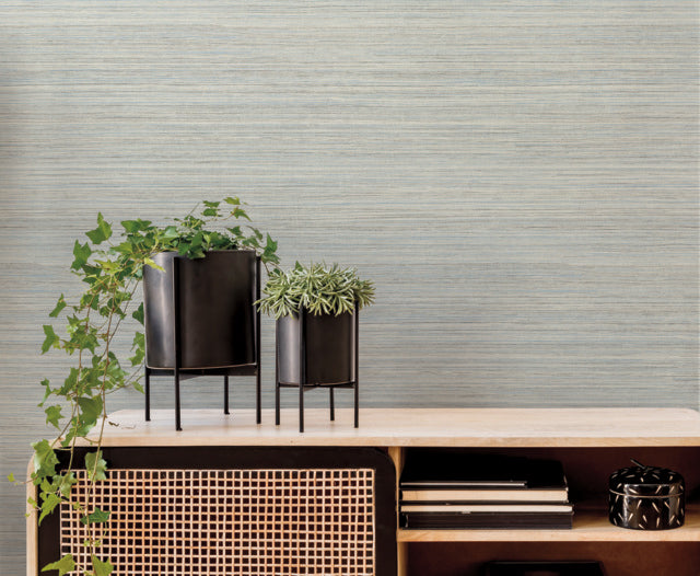 Blue Fountain Grass Smokey Blue Wallpaper