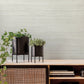 Beige Fountain Grass Sand Wallpaper