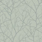 Eucalyptus & Silver Trees Silhouette Wallpaper Trees Silhouette