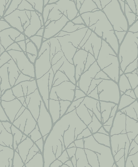 Eucalyptus & Silver Trees Silhouette Wallpaper Trees Silhouette