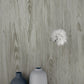 Gray Rusticano Wallpaper