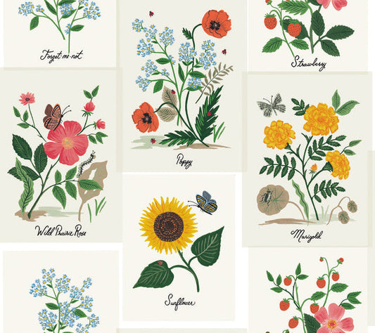 White/Pink Botanical Prints Wallpaper