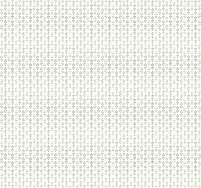 White Petal Wallpaper