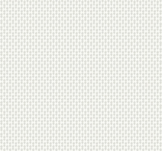 White Petal Wallpaper