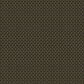 Black Petal Wallpaper