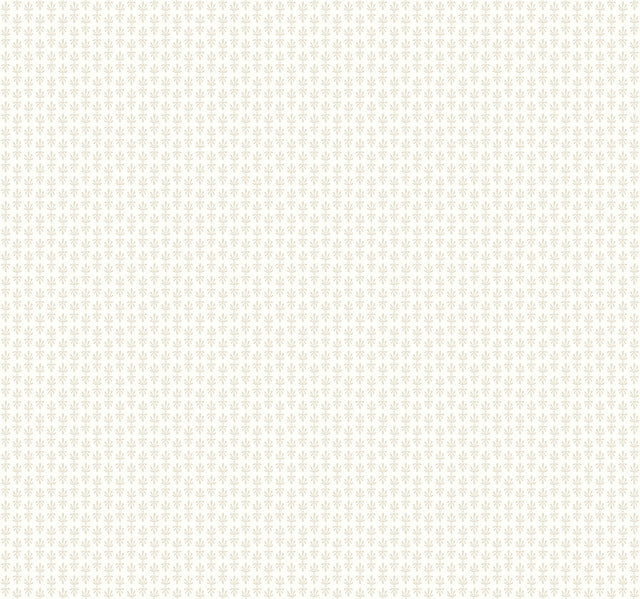 OffWhite Petal Wallpaper