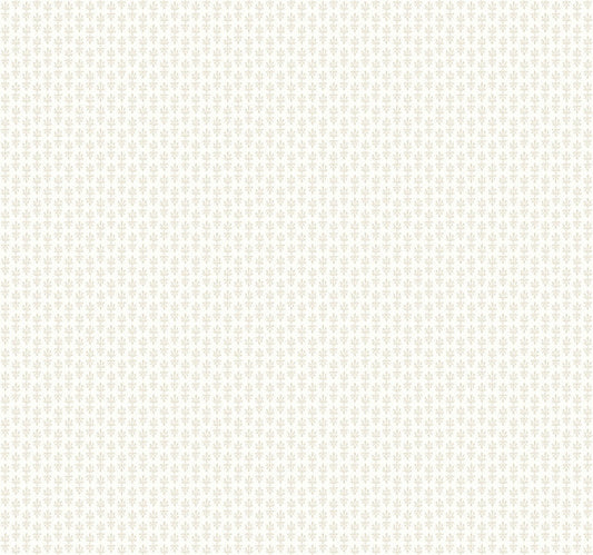OffWhite Petal Wallpaper
