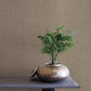 Adirondack Rugged Linen Wallpaper Rugged Linen