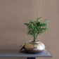 Sequoia Rugged Linen Wallpaper Rugged Linen